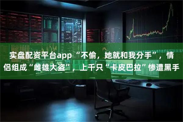 实盘配资平台app “不偷，她就和我分手”，情侣组成“雌雄大盗”，上千只“卡皮巴拉”惨遭黑手